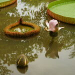 Un petit bain de nature...à 2 pas de la ville